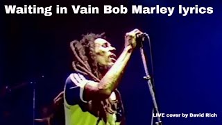 Waiting in Vain Bob Marley lyrics LIVE cover by David Rich [upl. by Wagshul125]