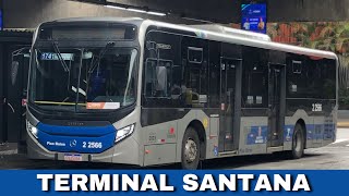 TERMINAL  SANTANA SÃO PAULO bus saopaulo terminal youtube brasil [upl. by Rourke]