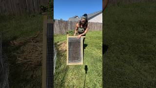 FINAL RESULT Sifting compost part 2 garden homesteading diy [upl. by Rakel]