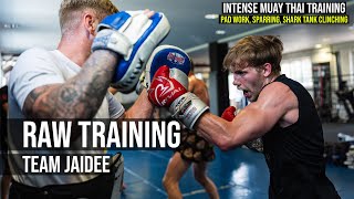 Raw Training at Team Jaidee  Pad work Sparring Shark Tank Clinching [upl. by Kristan]