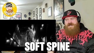 Spiritbox  Soft Spine  Reaction  Review [upl. by Gerrie]