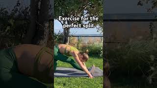 Fast split exercise Perfect stretch exercise [upl. by Refannej]