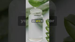 Unlock the Power of Eucalyptus Tea Tree Neem Aloe Vera amp Witch Hazel [upl. by Lodnar480]