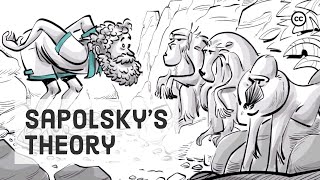 Sapolsky’s Theory of Evolutionary Psychology [upl. by Heller641]