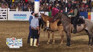 Jineteadas de caballos Festival de Doma y Folklore de Jesús María 2023 noche 7 [upl. by Penland]