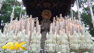 Procesión Magna de Jerez 2024  Esperanza de La Yedra [upl. by Ardnad]