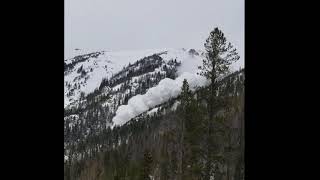 Berthoud Pass Avalanche Disney Slide 3519 [upl. by Erdnoed669]