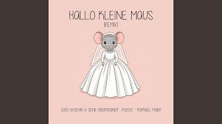 Hallo kleine Maus Remix [upl. by Alarice]