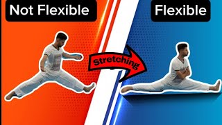 Unlocking Flexibility in Taekwondo Top 7 Exercises to Master the Front Split [upl. by Aivalf]