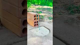 Why Birds Arent As Smart As You Think funnybirds animalcreatives farming funnypets experiment [upl. by Myrna]