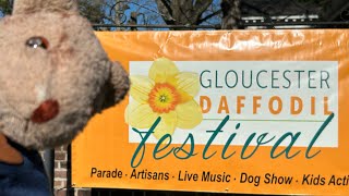 2024 Gloucester Daffodil festival in Gloucester VA with Goober the Traveling Bear [upl. by Hans]