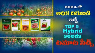 Top 5 Hybrid Tomato Seeds Telugu  Tamota Seeds Best Quality 2024  Tamato Cultivation [upl. by Fannie587]