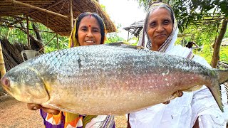 25 kg hilsha fish recipe  Biggest ilish fish cutting amp cooking  কাঁচা ইলিশের পেটির ঝোল  villfood [upl. by Kavita]