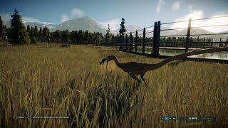 Coelophysis Vs Compsognathus  Jurassic World Evolution 2  Ps4 [upl. by Tdnarb882]