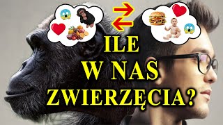 Rządzą Nami Zwierzęce Instynkty  Zobacz Jak Realizujesz Plan Natury [upl. by Harmaning]