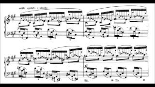 Chopin 24 Preludes Op28 Blechacz [upl. by Denn945]