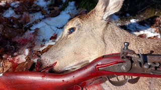 Flintlock Deer Hunting Doe Harvested with a smoothbore [upl. by Ahseinek739]