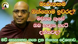 Thapowane Rathana Thero l Sith Neth Asapuwa bana l 2024 10 05 [upl. by Arleyne]