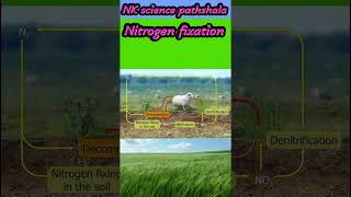 Nitrogen fixation trendingshort viralshots song music [upl. by Gloria892]