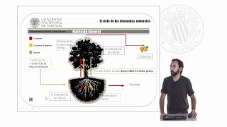 Cultivos Leñosos Capítulo 3 Nutrición mineral   UPV [upl. by Enelyak411]