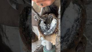 Trimming super overgrown horse hoof farrier satisfying asmr [upl. by Eelram]