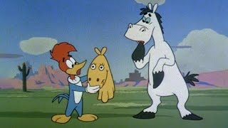 What Kind of Horse Is That  25 Hours of Classic Episodes of Woody Woodpecker [upl. by Della]