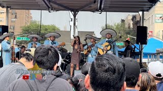 Mariachi Talavera festival fiesta México 116 St East Harlem Manhattan NY 72824 [upl. by Plerre]