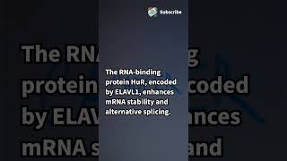 Unlocking the Role of Glutaminase in Breast Cancer Progression cancer biology education science [upl. by Ahl]