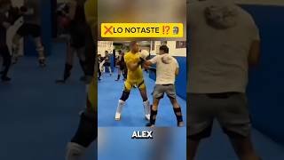 LA PEGADA DE ALEX ES BRUTAL🥊 kickboxing mma peleadebox ufc kickboxer striking sparring box [upl. by Ydnal]