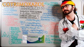 💊 Cotrimoxazol quotSoltrimquot quotSeptrimquot Antibiótico [upl. by Wynne182]