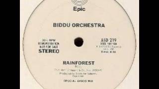 Biddu Orchestra  Rain Forest [upl. by Nej]