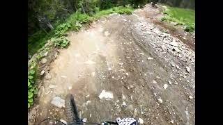 RAW Run Pro DH SchladmingSummer 2022 [upl. by Edya]