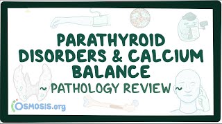 Parathyroid disorders and calcium balance Pathology Review [upl. by Dermott67]