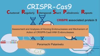 Assessment andAnalyses of Homing EndonucleasesandMechanism of Action of CRISPRCas9HNH Endonucleases [upl. by Britte]