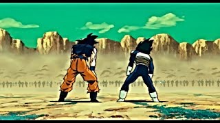 Dont Go Wasting Your Emotions  Dragon Ball AMV [upl. by Bernstein902]