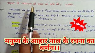 मनुष्य के आहार नाल के रचना का वर्णन करें पाचन तंत्रHuman digestive system in Hindi [upl. by Paulsen501]