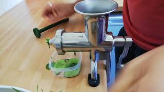 Wheatgrass  How to make Wheatgrass with a stainless steel Wheatgrass Juicer [upl. by Kally]