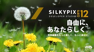 SILKYPIX Developer Studio Pro12 [upl. by Otero]