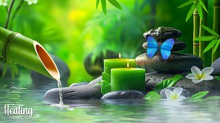 Soothing Piano Relaxation Music 🌿 Gentle Piano Music for Sleep  Water Sounds amp Relax Meditation [upl. by Calendra]