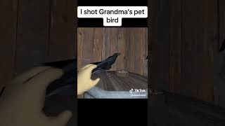 bigdew0 kills Grandmas BirdGets hit Grannys Baseball Bat [upl. by Dnalon]