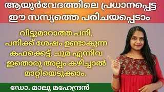 വിട്ടുമാരാത്ത കഫക്കെട്ട് പനി ഇനി വേഗം മാറ്റിയെടുക്കാം  Thipali  തിപ്പല്ലി [upl. by Moya99]