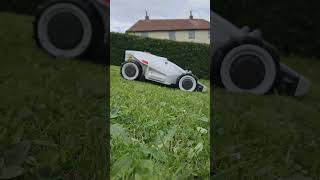 LUBA 3000 AWD Robot Lawnmower on a Slope [upl. by Eciuqram]