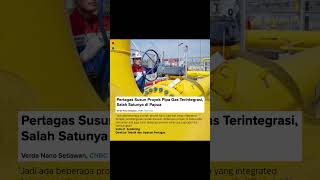 Pertagas Susun Proyek Pipa Gas Terintegrasi Salah Satunya di Papua [upl. by Lunn]