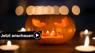 📷 Coole Kürbis Fotos an Halloween fotografieren 👻 Benjamin Jaworskyj fotografieren lernen [upl. by Nawj307]