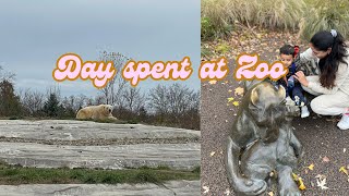 Detroit Zoo Tour vlog it was fun going to zoo and have fun  Nature duo zoo detroit animals [upl. by Aenaj]