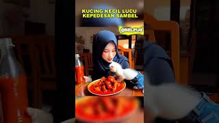 KUCING KECIL LUCU KEPEDESAN SAMBEL kucingkecillucu animasi ai feedshorts [upl. by Nosila]