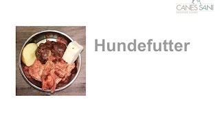 Hundefutter Was bedeutet Rohprotein Rohfett Rohfaser und Rohasche im Futter meines Hundes [upl. by Kallista]