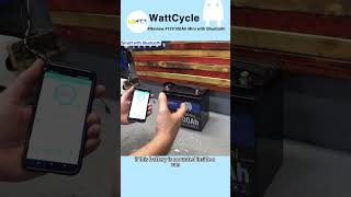 12 Unleashing the Power WattCycle 12V100Ah Mini Bluetooth Battery Review amp Load Test [upl. by Llennahs]