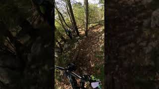 WHAT A TRAIL🤩🚀 mtb gopro downhill mountainbike enduromtb [upl. by Ennaeiluj488]