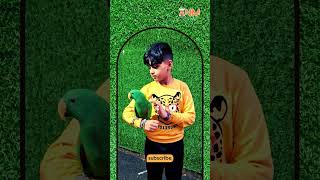 CUTE PARROT❤️ ARYAN NIHAR M  shorts viralvideo parrot birds 1m public foryou cute pets [upl. by High163]